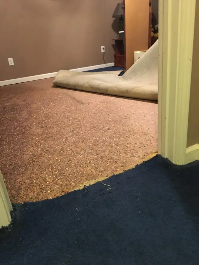 Carpet pad removal revealing water damage during Water Mitigation Services in Newburgh